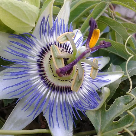 Dei Buoni E Cattivi 4*