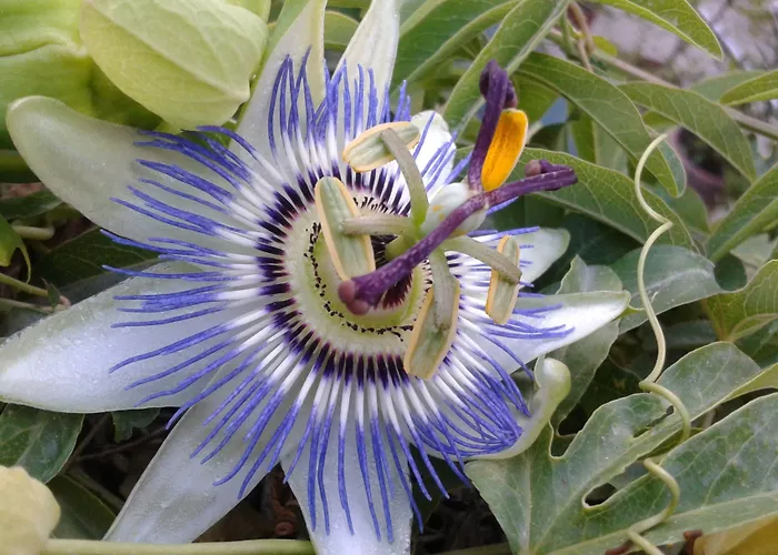 Dei Buoni E Cattivi 4*